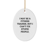 Fitness Trainer Christmas Unique Gifts from Family - Oval Ornament I May Be A 'Fitness Trainer' But I Can't Fix Stupid People - Funny Oval Shaped Decor - Image 1